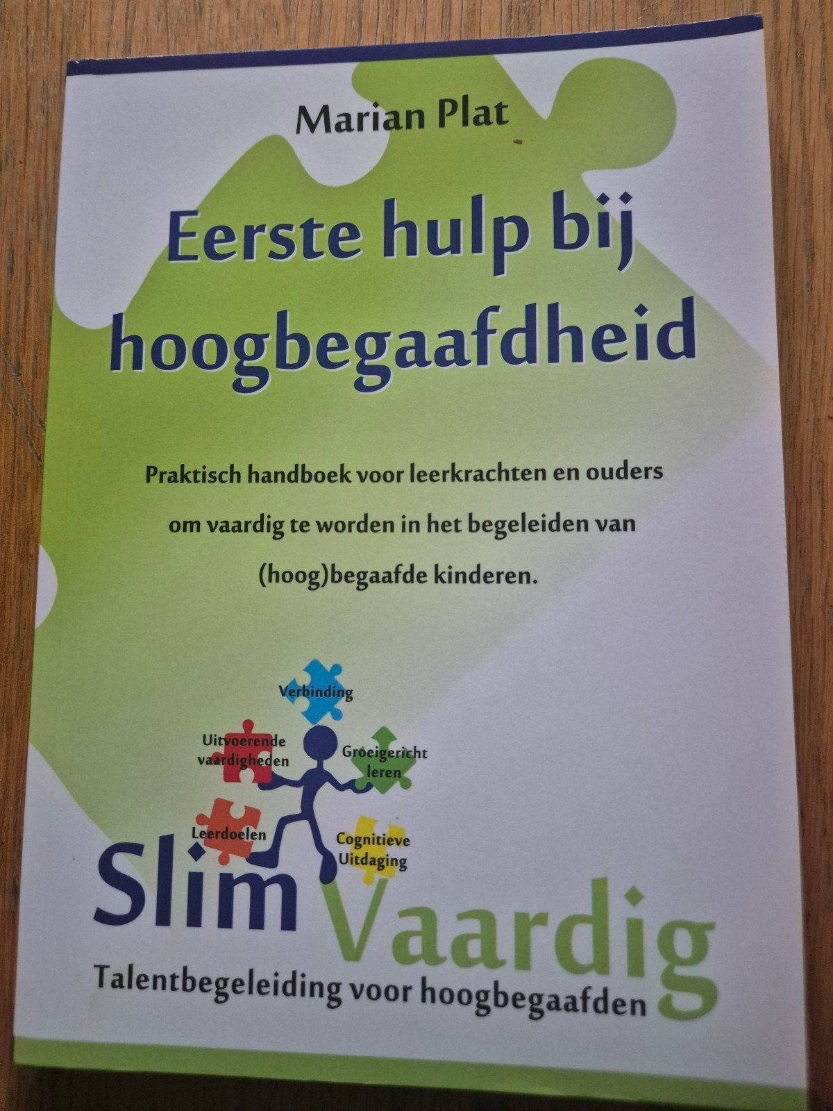 Slim Vaardig Talent begeleiding voor hoogbegaafden, Boeken, Zwangerschap en Bevalling, Ophalen of Verzenden, Zo goed als nieuw