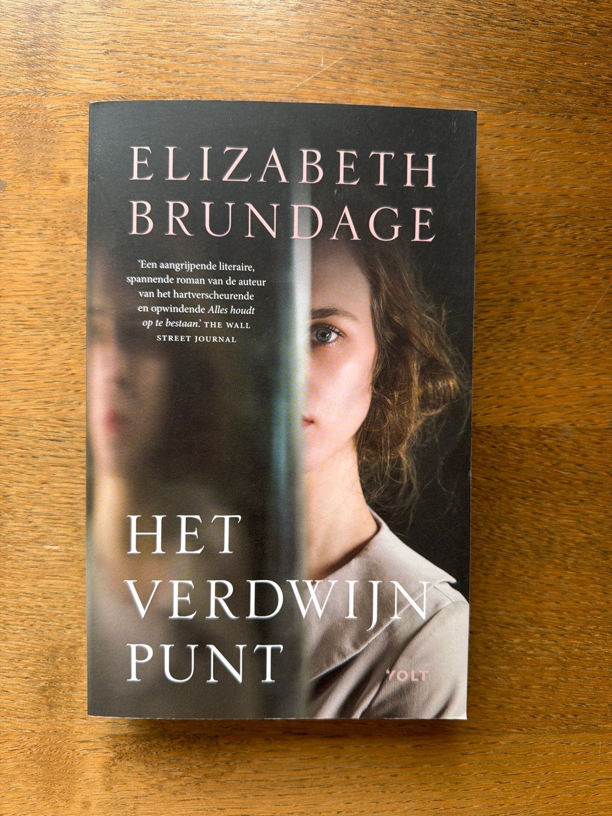 Elizabeth Brundage - Het verdwijnpunt, Europa overig, Ophalen of Verzenden, Zo goed als nieuw, Elizabeth Brundage
