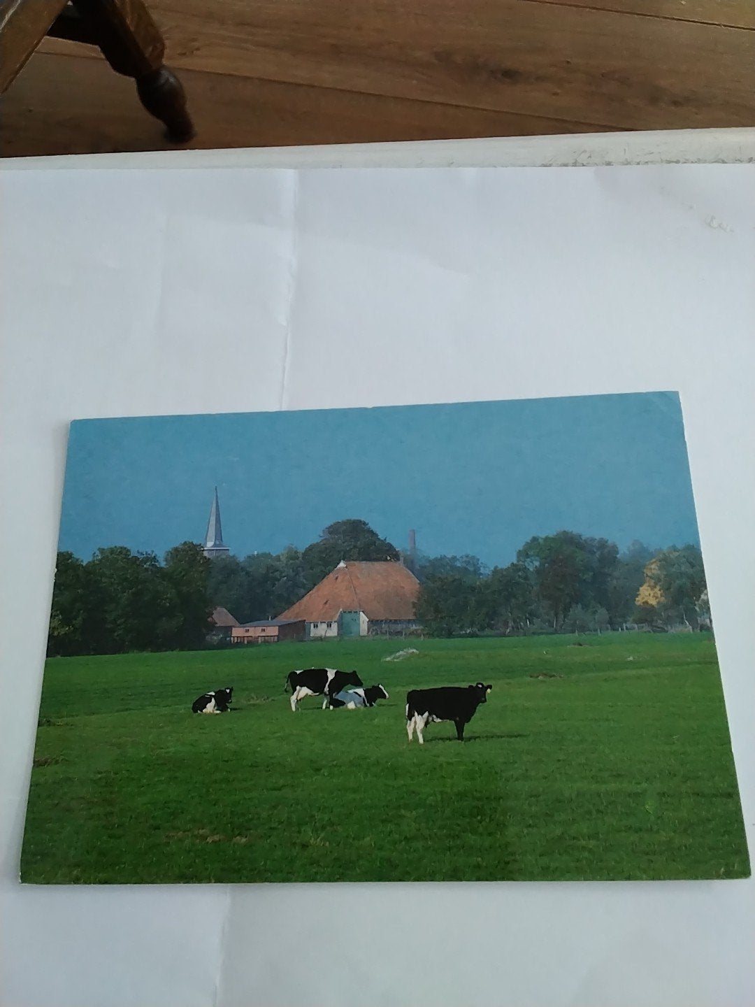Oude Ansichtkaart Friesland - Koeien in de wei, Ophalen of Verzenden, 1980 tot heden, Gelopen, Friesland