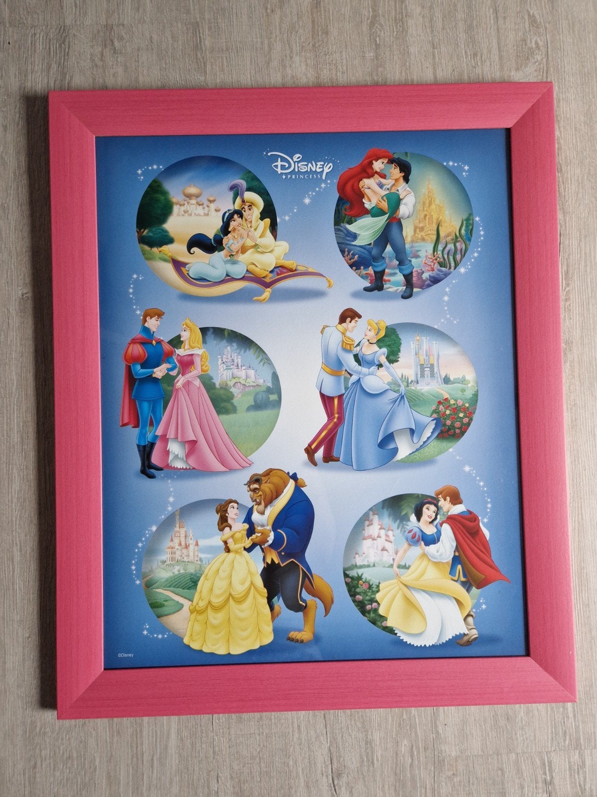 Disney Prinsessen Poster in Roze Lijst, Ophalen, 50 – 75, Minder dan 50 cm, Gebruikt