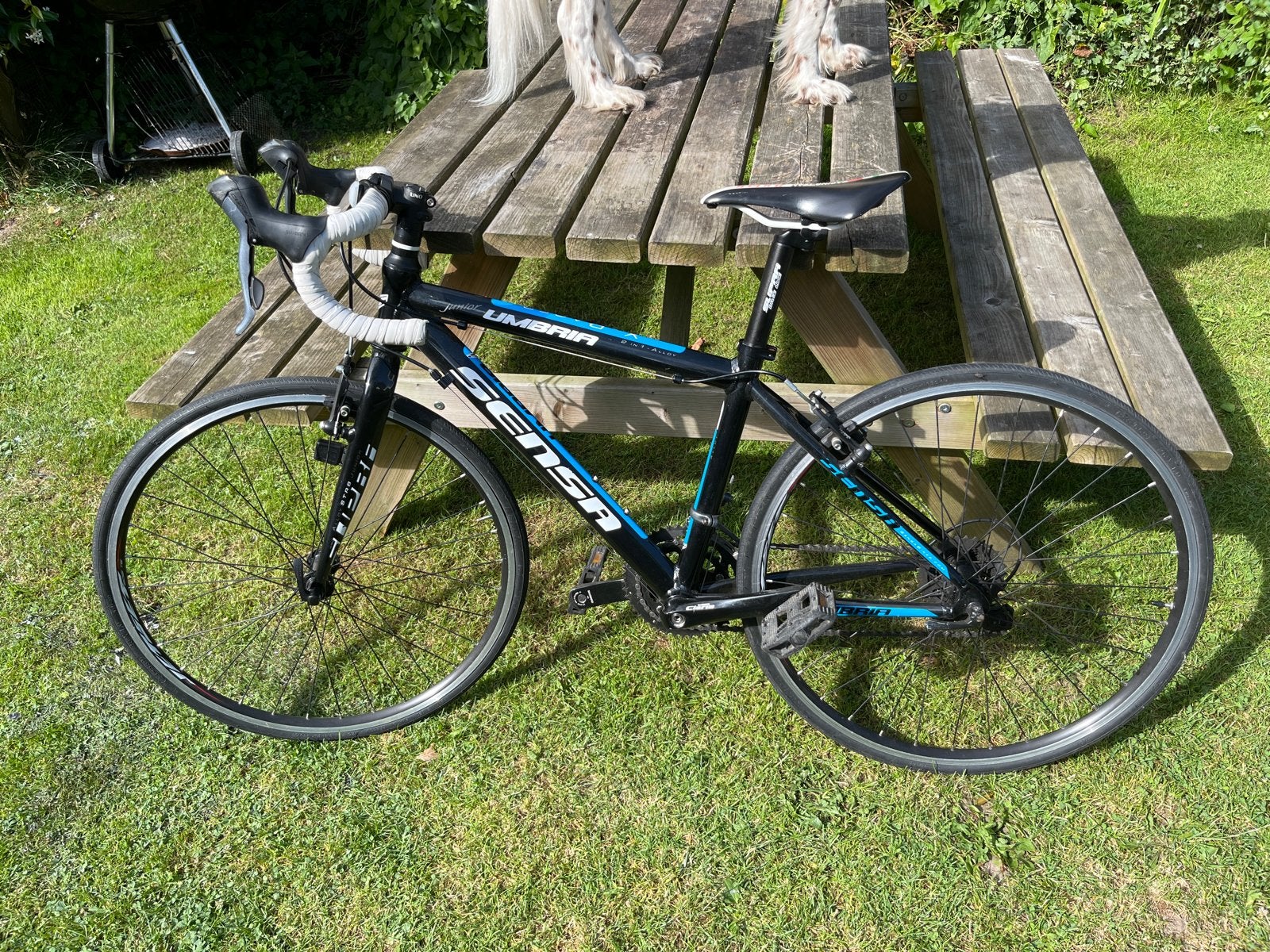 Sensa umbria junior. Leuke kinderrace fiets.mt 40, Fietsen en Brommers, Fietsen | Racefietsen, 26 inch, Aluminium, Minder dan 49 cm