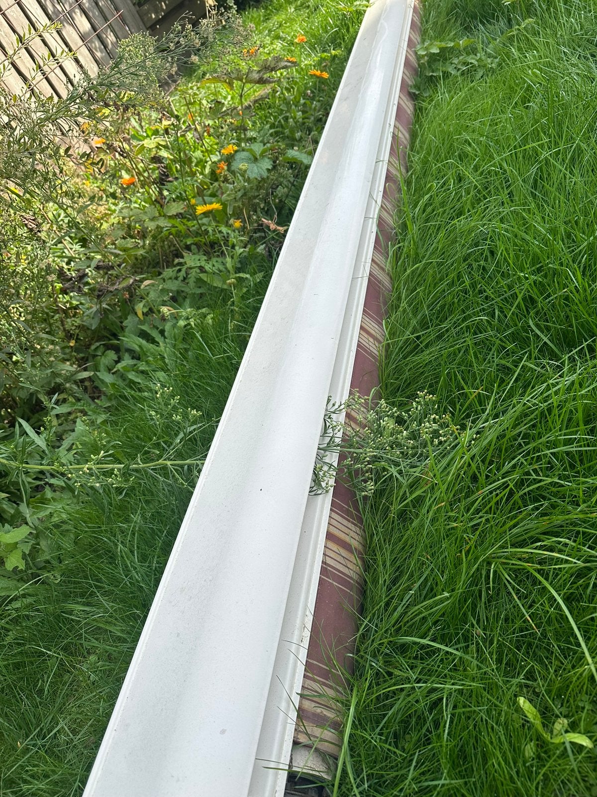 Zonnescherm elektrisch 7.10 GRATIS zsm ophalen, Ophalen, Elektrisch, Zo goed als nieuw, 150 tot 300 cm