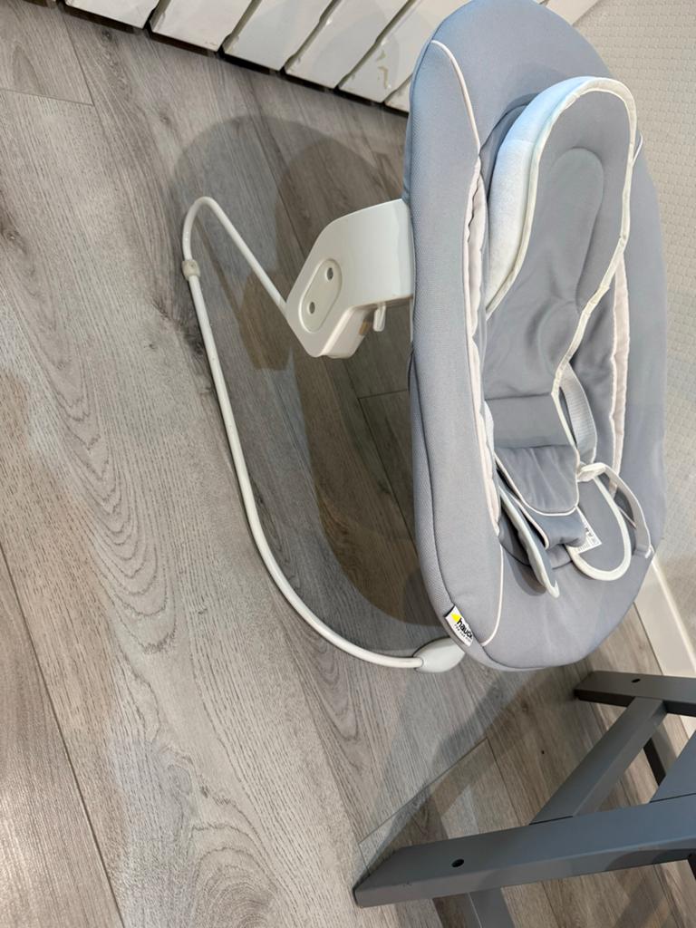 Hauck Alpha+ meegroeistoel met tray en newborn opzetstuk, Ophalen, Gebruikt, Meegroeistoel, Gordel(s)