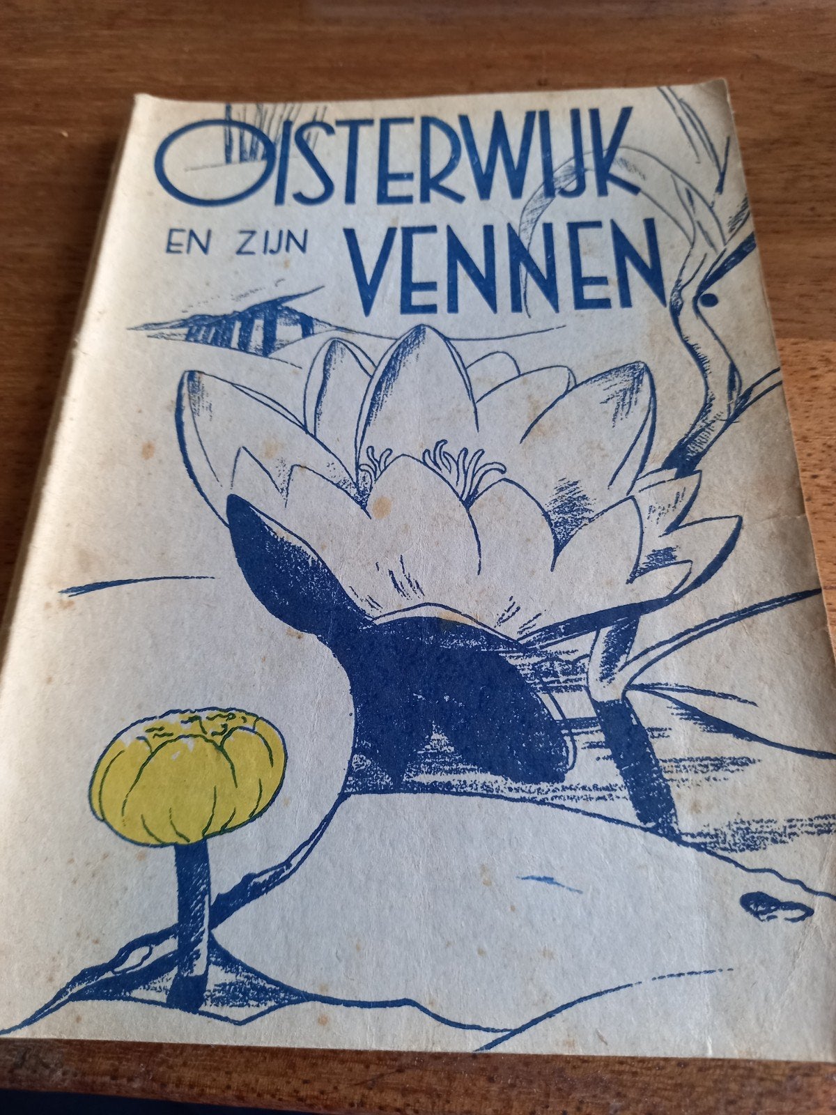 Oisterwijk, Ophalen of Verzenden, Gelezen