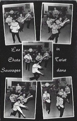 Les Chats Sauvages in Twist dans ansichtkaart, Ophalen of Verzenden, Nieuw, Foto of Kaart