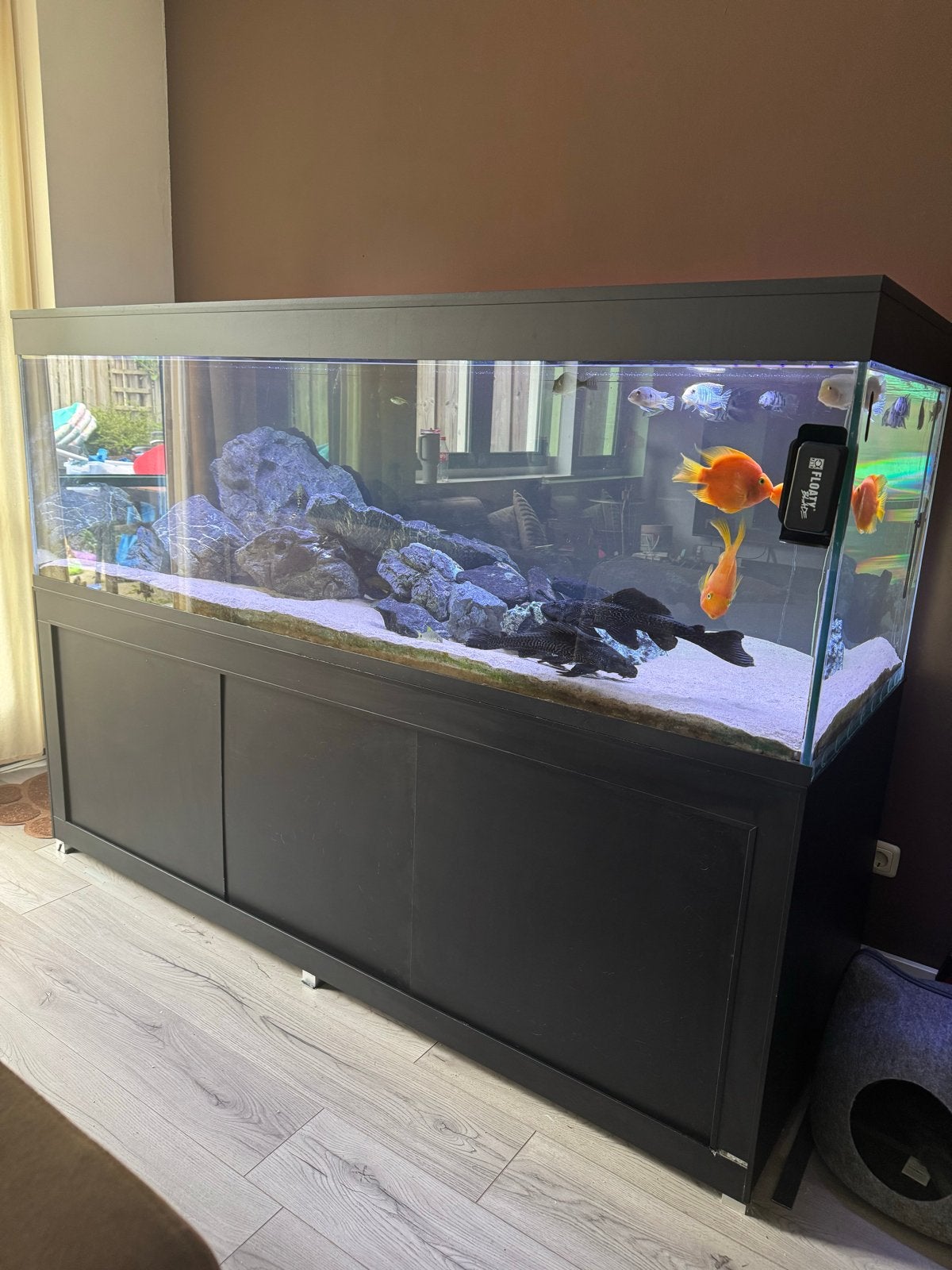 Prachtig maatwerk aquarium van 2 meter, Dieren en Toebehoren, Ophalen, Leeg aquarium