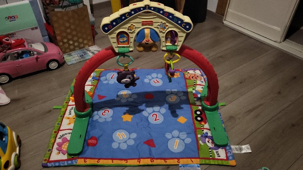 Fischer price 2 in 1 puppy gym, Ophalen, Gebruikt, Speelset, Met geluid