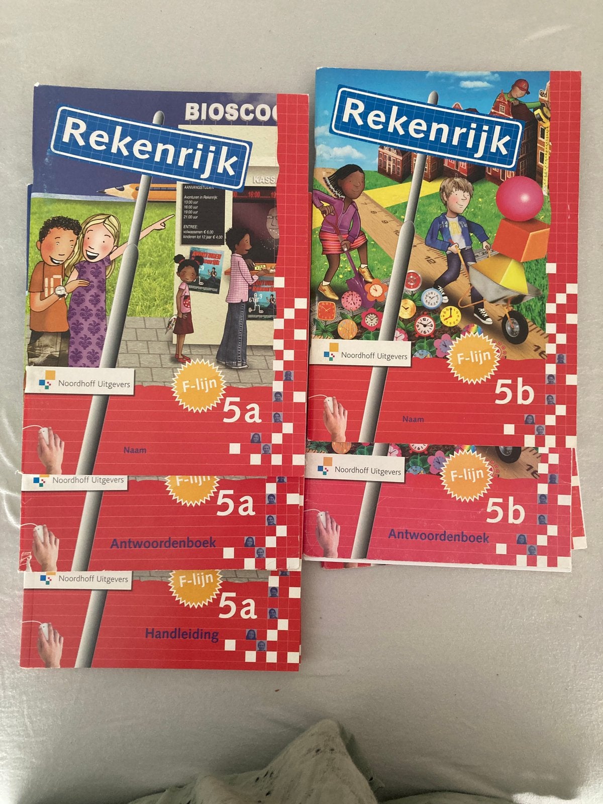 Rekenrijk f-lijn, Boeken, Ophalen of Verzenden, Gelezen, Overige niveaus, Overige vakken