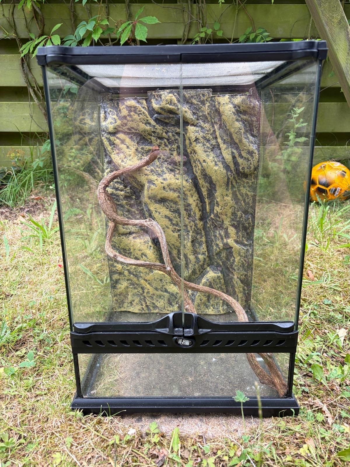 Exo terra terrarium 30x30x45 cm met lamp, Ophalen, Gebruikt