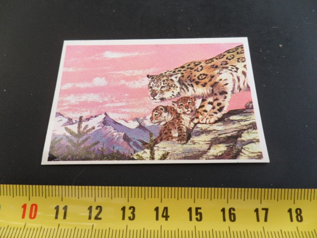 sticker strip dier #42 sneeuwpanter, Ophalen of Verzenden, Zo goed als nieuw