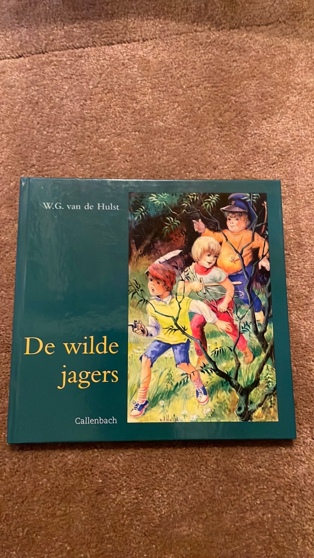 W.G. van de Hulst - De wilde jagers, Ophalen of Verzenden, Zo goed als nieuw, W.G. van de Hulst, Fictie algemeen