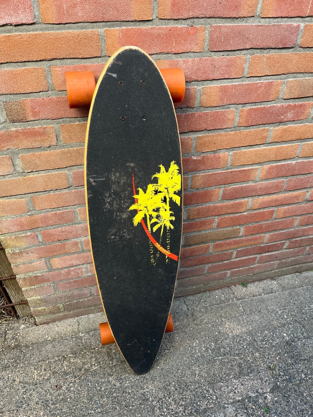 Nijdam Longboard met palmboom design - Zo goed als nieuw, Sport en Fitness, Ophalen, Zo goed als nieuw, Skateboard, Longboard