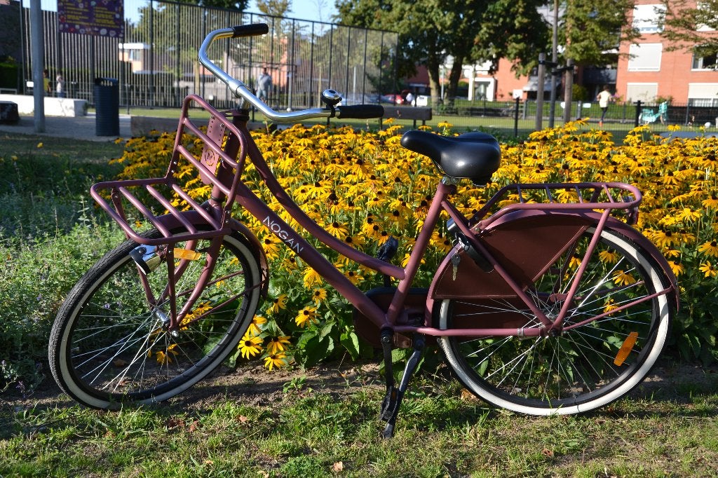 Nogan meisjesfiets meisje fiets 26 inch, Ophalen, Gebruikt, Terugtraprem, 26 inch of meer
