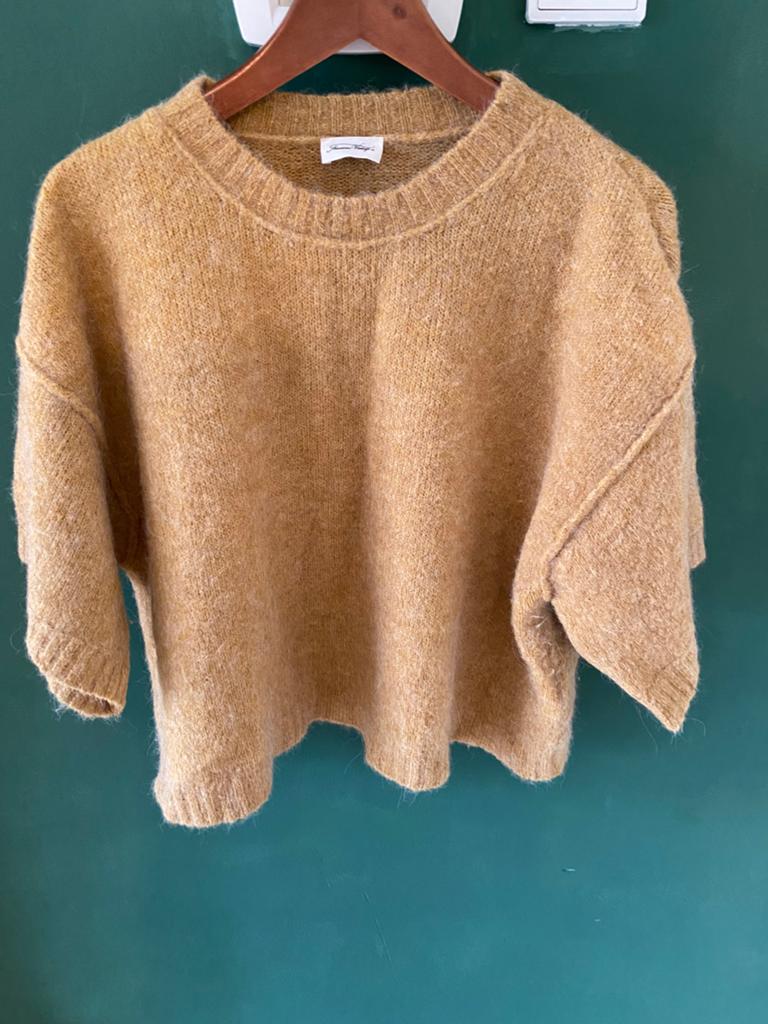 Amwrican Vintage truitje, Ophalen of Verzenden, Zo goed als nieuw, Maat 36 (S), Bruin