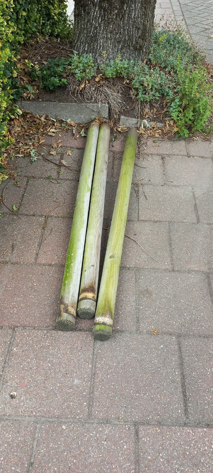 Gratis 3 weidepalen., Ophalen, Gebruikt, Minder dan 180 cm, Palen