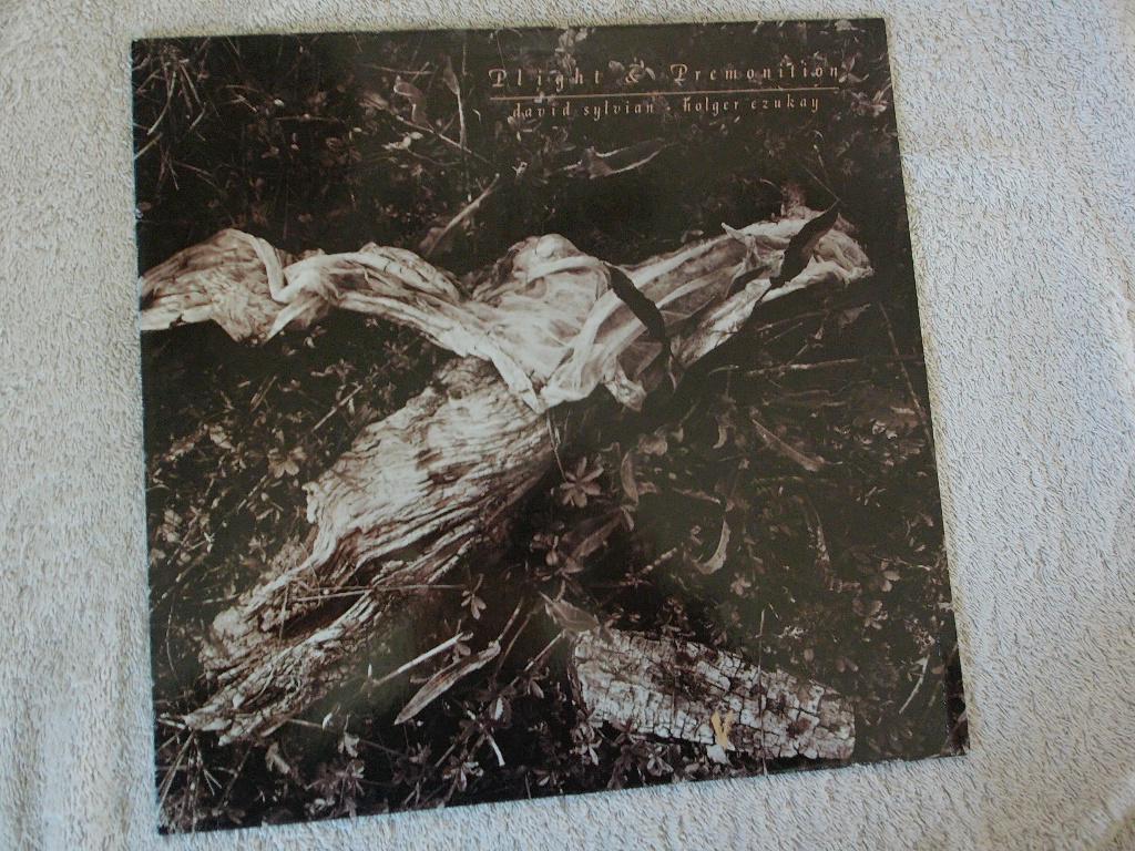 David Sylvian / Holger Czukay - plight & premonition, Inclusief binnenhoes, Verzenden, Zo goed als nieuw, 12 inch
