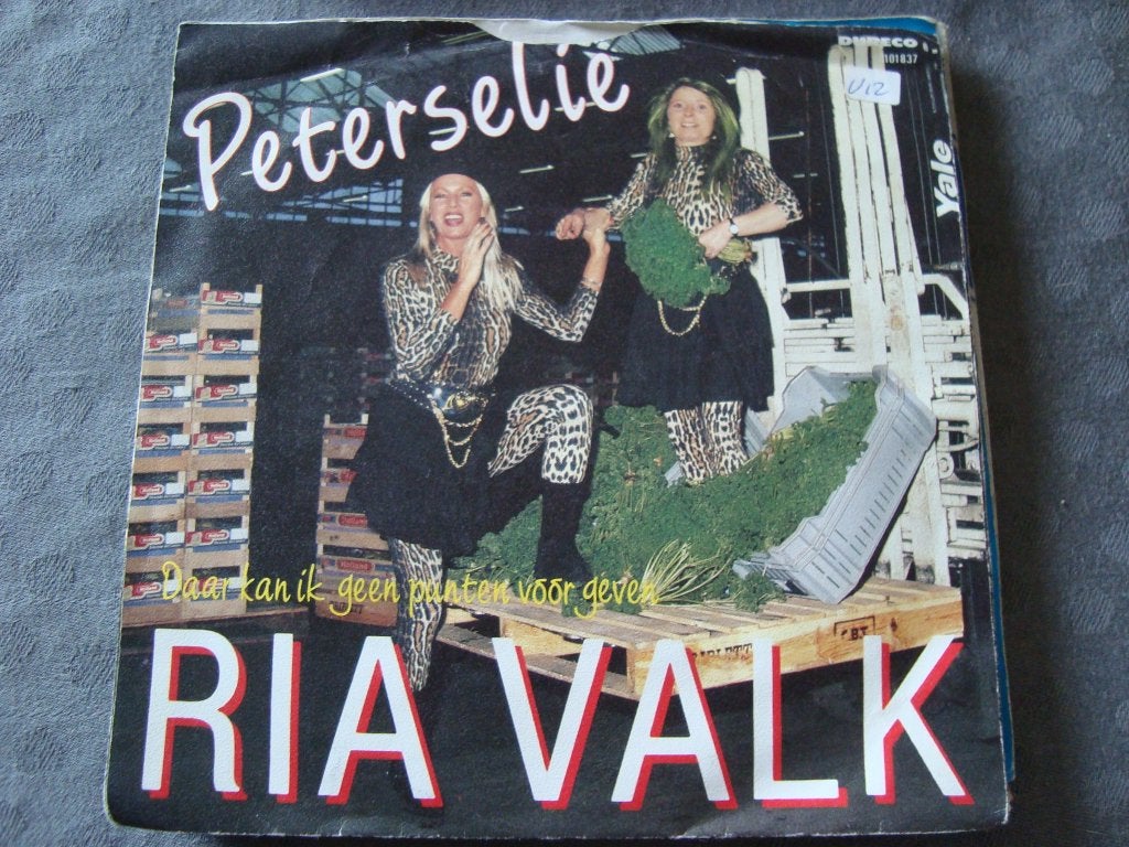 Div. Singles van ria valk per stuk te koop, Ophalen of Verzenden, Zo goed als nieuw, Nederlandstalig