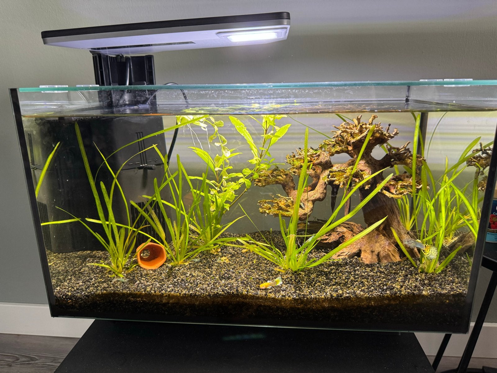 SuperFish QbiQ 40 Aquarium, Dieren en Toebehoren, Vissen | Aquaria en Toebehoren, Ophalen, Zo goed als nieuw, Gevuld zoetwateraquarium