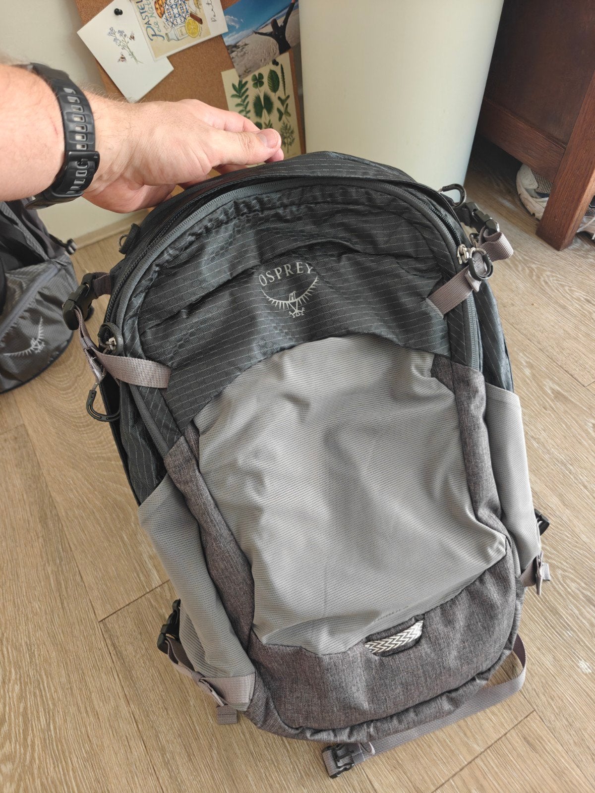 Osprey Nebula rugzak - Ideaal voor dagelijks gebruik, Sieraden, Tassen en Uiterlijk, Tassen | Rugtassen, 25 tot 40 cm, Nieuw, Ophalen
