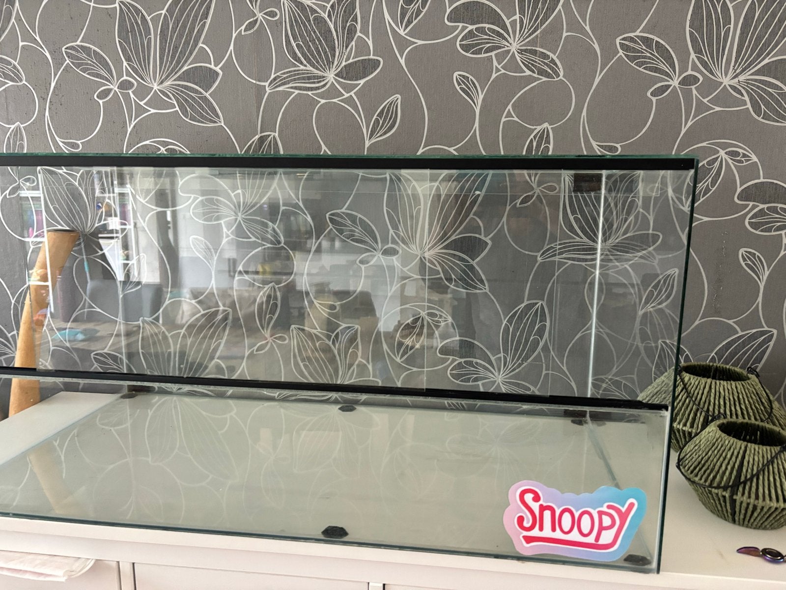 Ruim terrarium 50x100 cm – incl. accessoires voor hamster!, Gebruikt, Overige typen, Hamster, 75 tot 110 cm