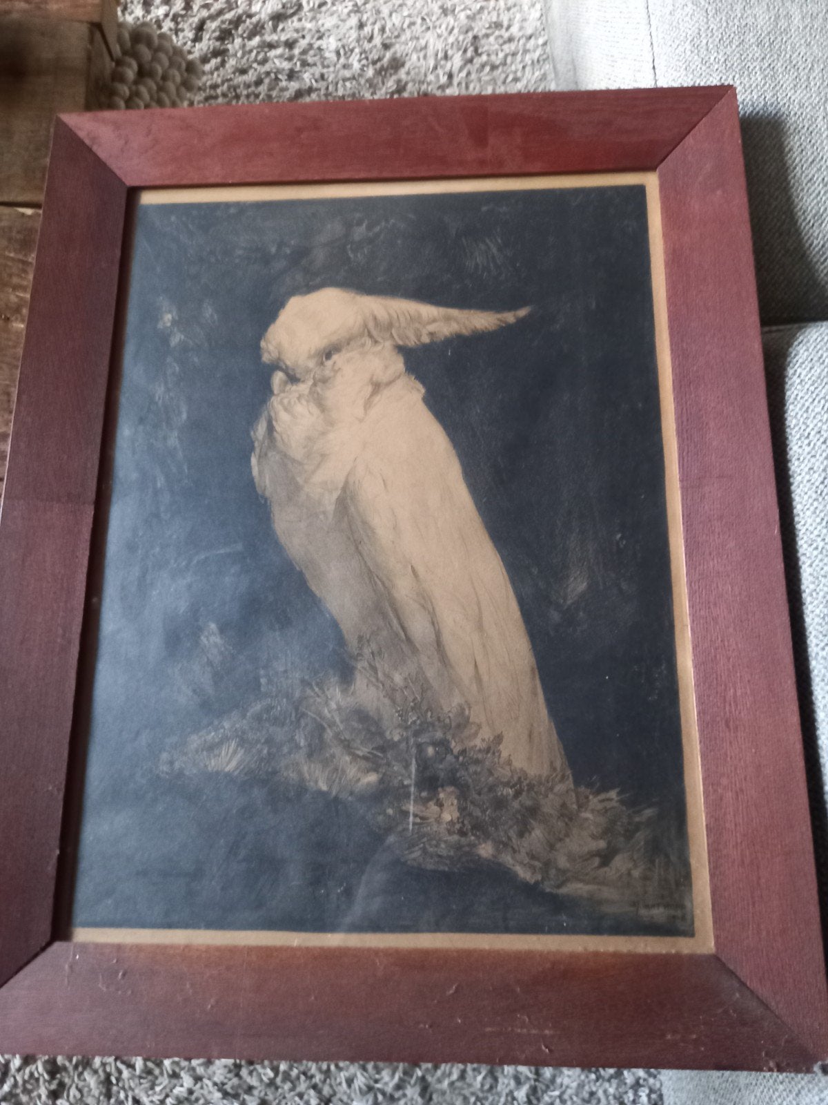Litho Kaketoe A.J. van 't Hoff 1925, ingelijst, Gesigneerd, Ophalen, Dieren en Natuur, Lithografie