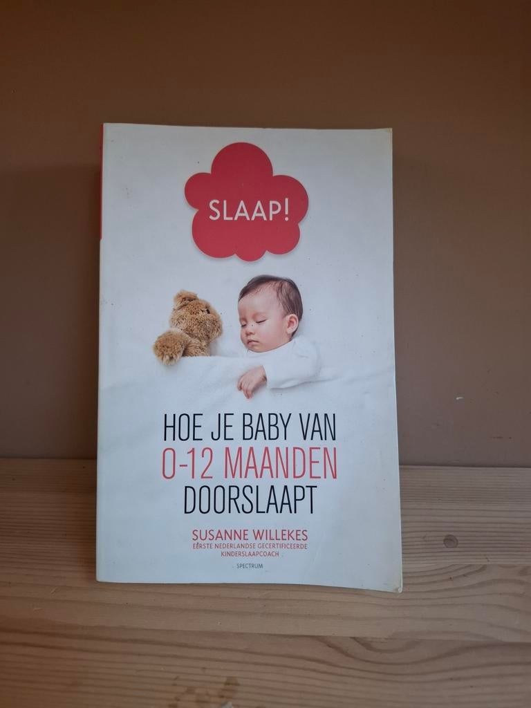 Slaap! Hoe je baby van 0-12 maanden doorslaapt, Ophalen of Verzenden, Gelezen, Opvoeding tot 6 jaar, Susanne Willekes
