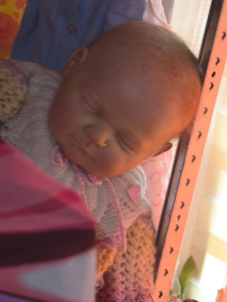 Reborn eur 110 incl verzenden, Verzamelen, Verzenden, Zo goed als nieuw, Pop