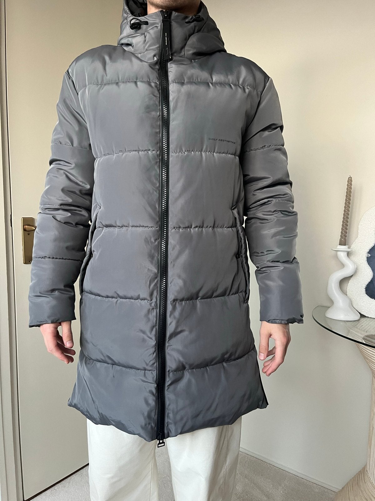 Daily Aesthetikz Winterjas Maat S - Grijs, Kleding | Heren, Ophalen of Verzenden, Zo goed als nieuw, Maat 46 (S) of kleiner, Grijs