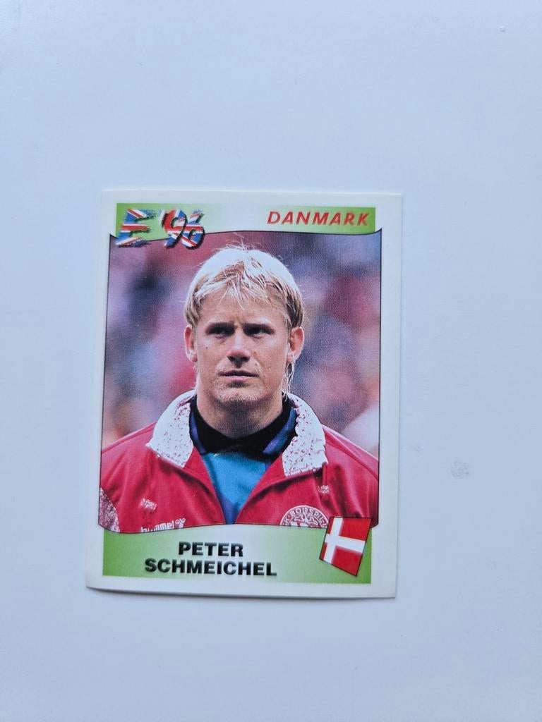 Panini euro 96, Ophalen of Verzenden, Zo goed als nieuw, Buitenlandse clubs, Poster, Plaatje of Sticker