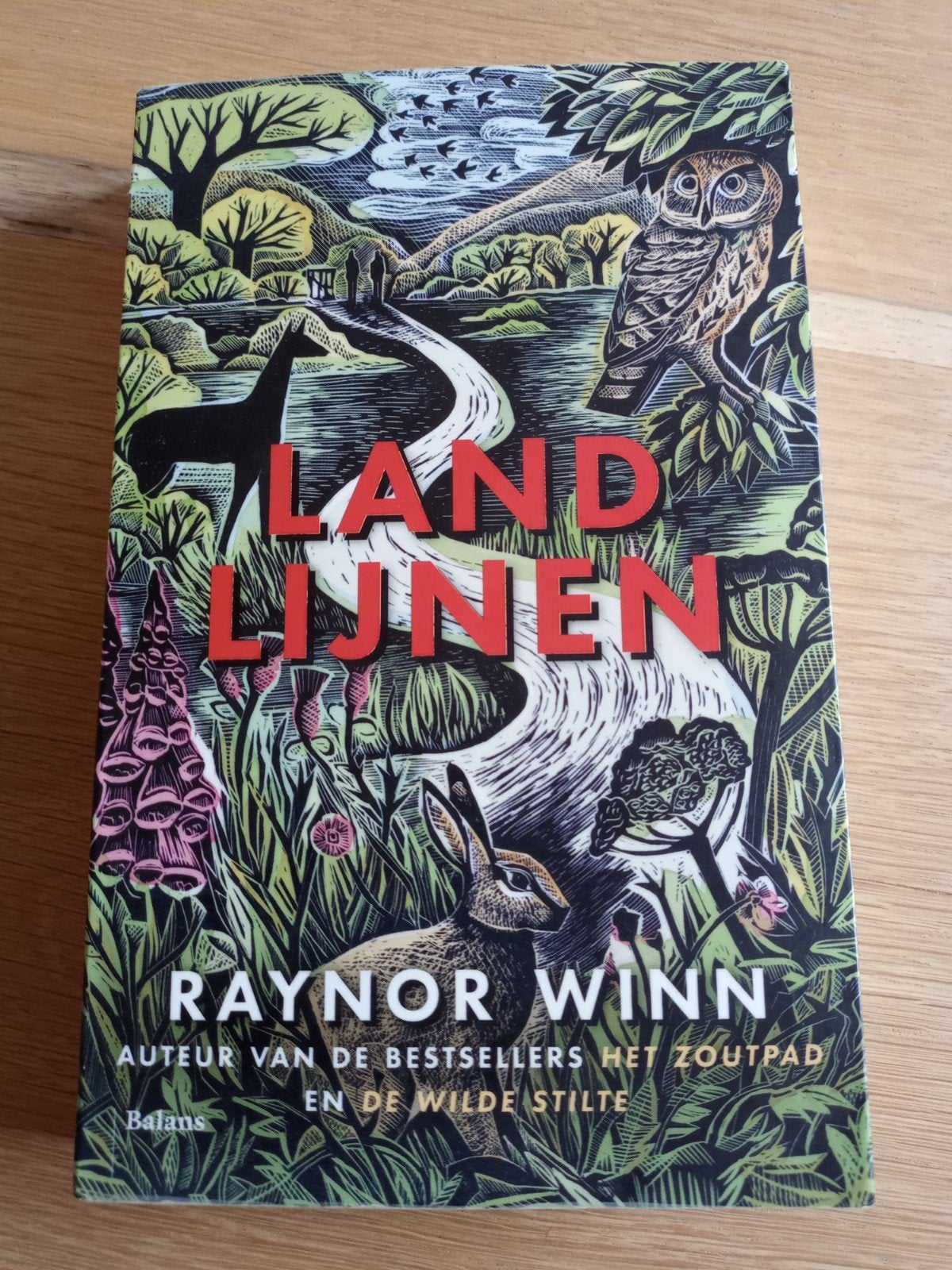 Landlijnen- Raynor Winn, Gelezen, Ophalen of Verzenden, Eén auteur, Raynor Winn