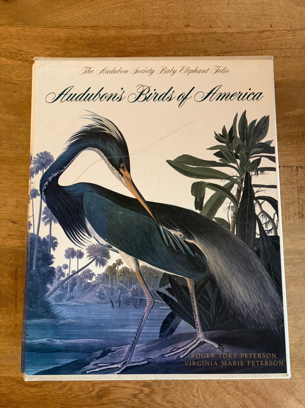 Audubon’s Birds of America, Ophalen of Verzenden, Zo goed als nieuw, Natuur algemeen