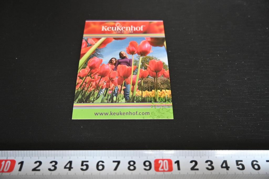 sticker Keukenhof Lisse Holland, Ophalen, Zo goed als nieuw