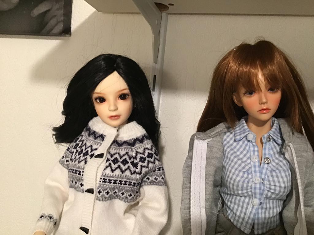 Te koop 2 BJD , MSD dolls geen doos geen papieren, Verzamelen, Ophalen of Verzenden, Zo goed als nieuw, Pop