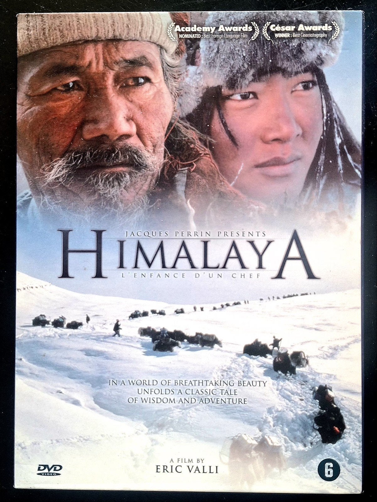 DVD  DOCUMENTAIRE - Himalaya, Alle leeftijden, Ophalen of Verzenden, Gebruikt