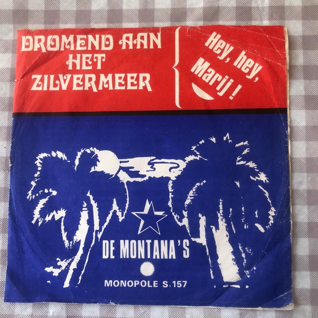 De Montana's , Dromend aan het zilvermeer .., Ophalen of Verzenden, Gebruikt, 12 inch, Levenslied of Smartlap