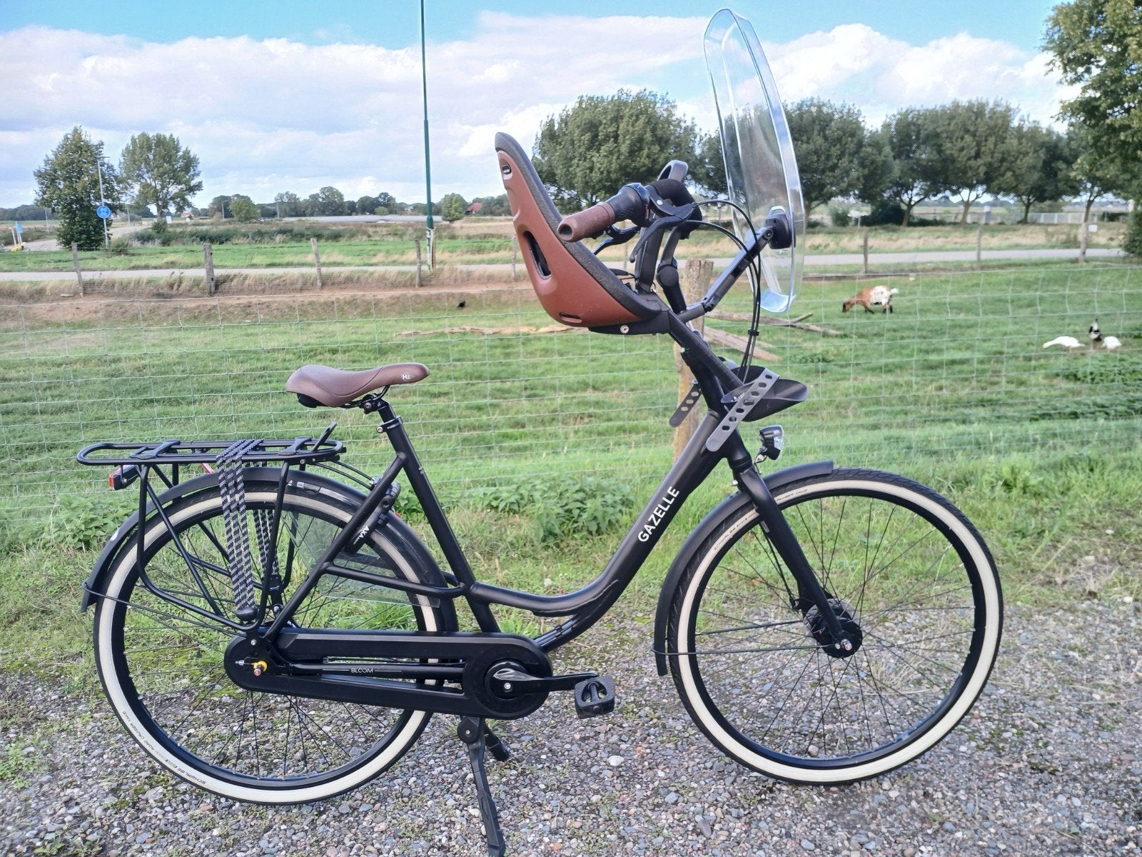 GAZELLE BLOOM C7  - 2023 + GARANTIE - FRAME 57 / 7 N, Fietsen en Brommers, Ophalen, 56 cm of meer, Zo goed als nieuw, Dubbele standaard