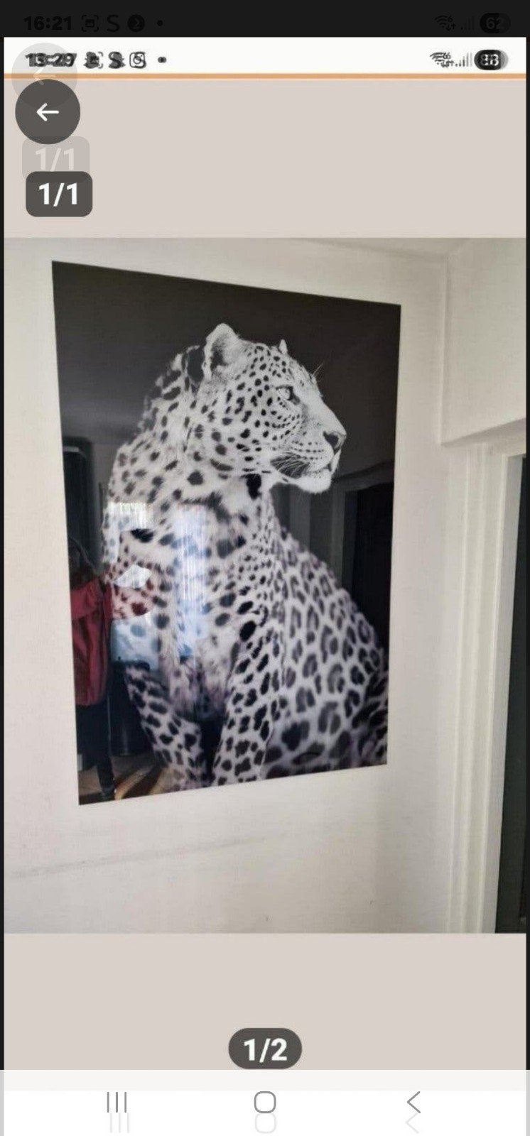glas schilderij leopard, Ophalen, Zo goed als nieuw, Schilderij