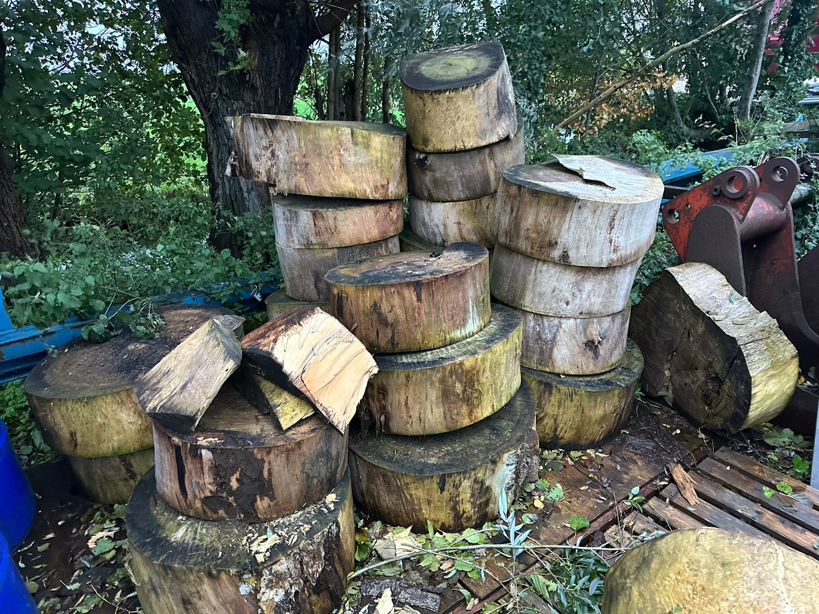 Haardhout om zelf te kloven - Diverse houtsoorten, 3 tot 6 m³, Ophalen, Overige houtsoorten, Blokken