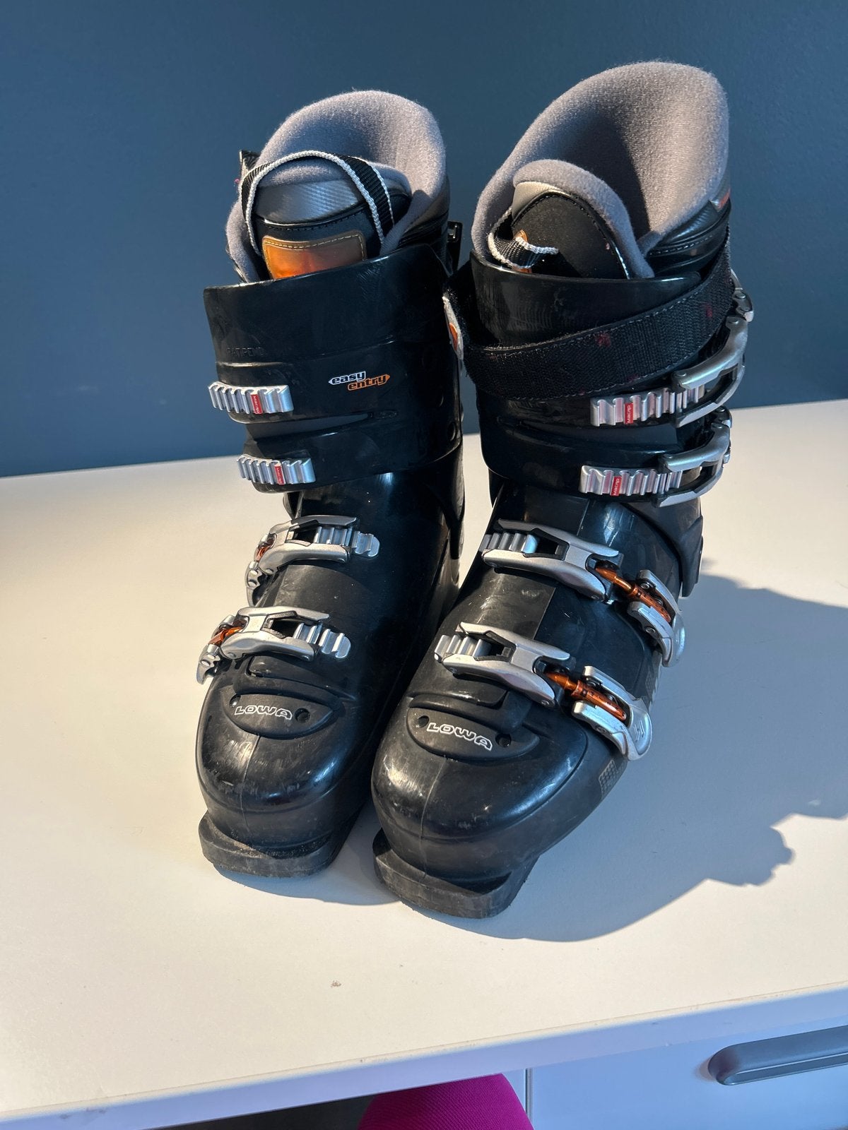 Lowa skischoenen maat 42, Sport en Fitness, Gebruikt, Schoenen, Skiën, Ophalen