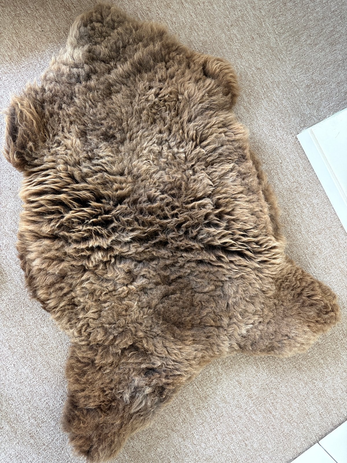 Prachtige IJslandse schapenvacht - Bruin, 100 tot 150 cm, Bruin, Zo goed als nieuw, Overige vormen