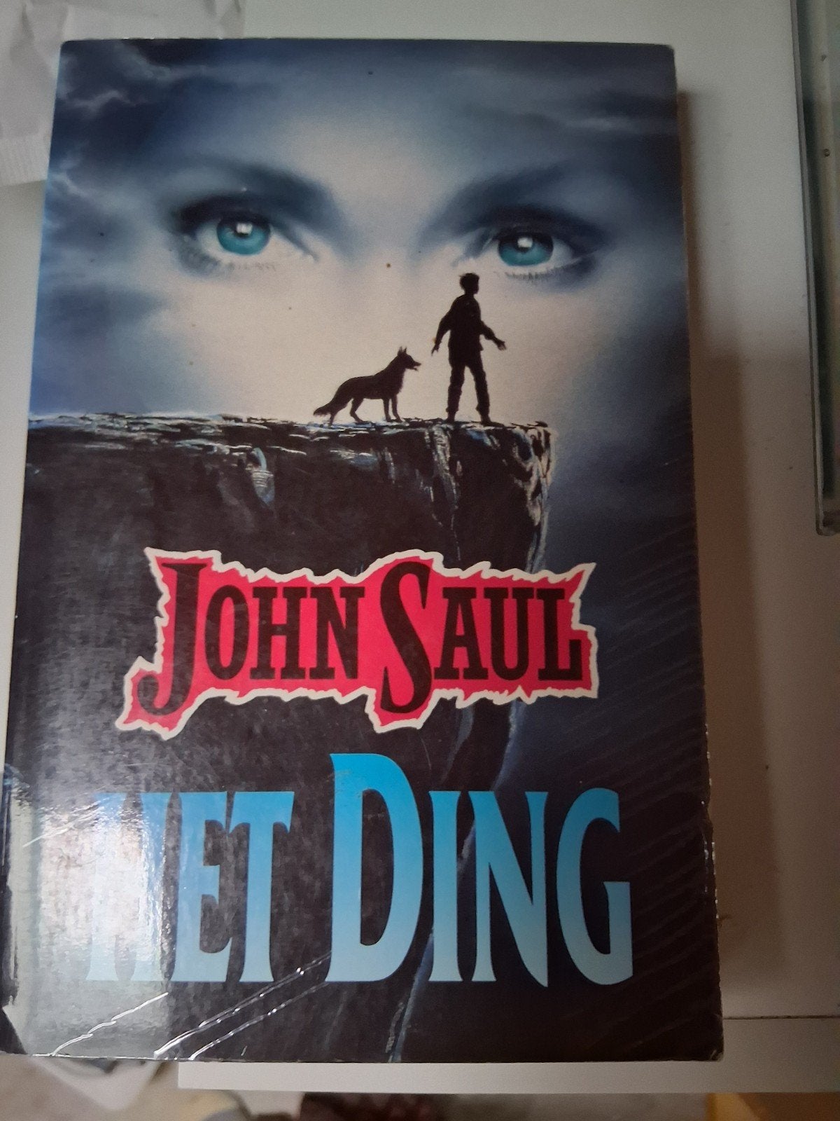 John Saul - Het Ding (Thriller), Boeken, Ophalen of Verzenden, Gelezen, John Saul, Nederland