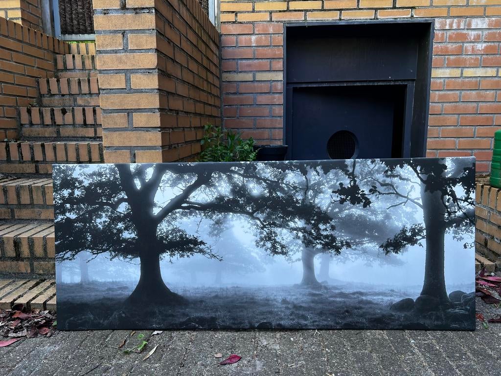 Canvas schilderij: Mysterieus bos in mist (zwart-wit), Ophalen