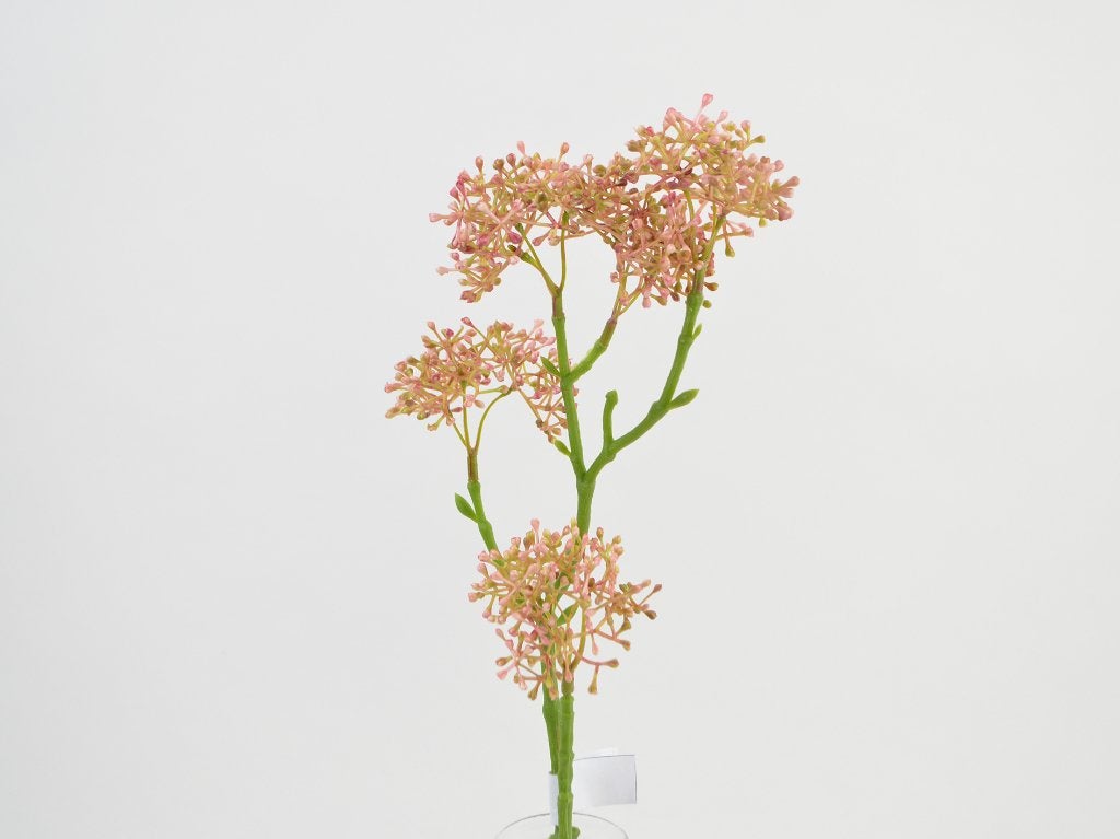 SKIMMIA KUNST TAK, Ophalen of Verzenden, Nieuw
