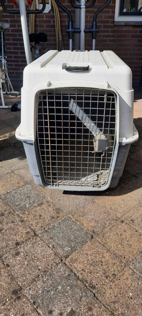 hondenbanche, Dieren en Toebehoren, Ophalen, Gebruikt