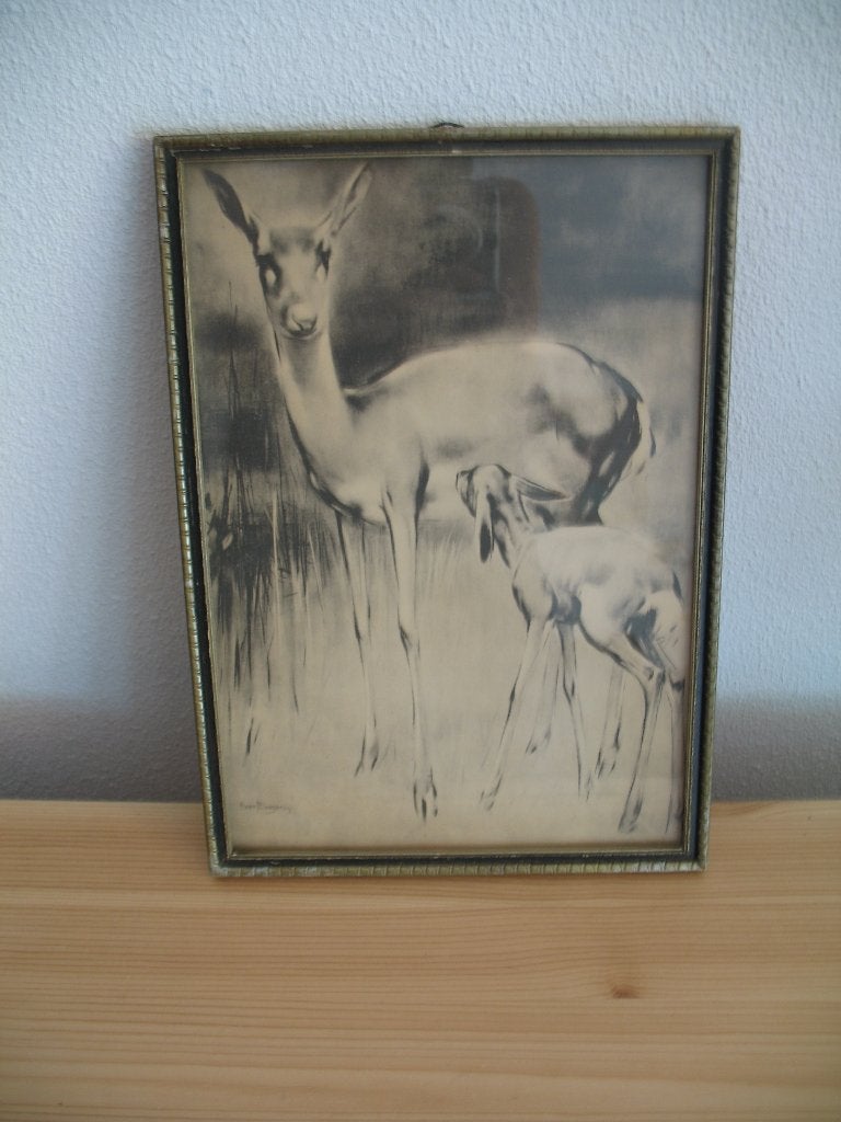 Schilderij Tekening Hert H. van Meegeren * 1951 Vintage, Ophalen