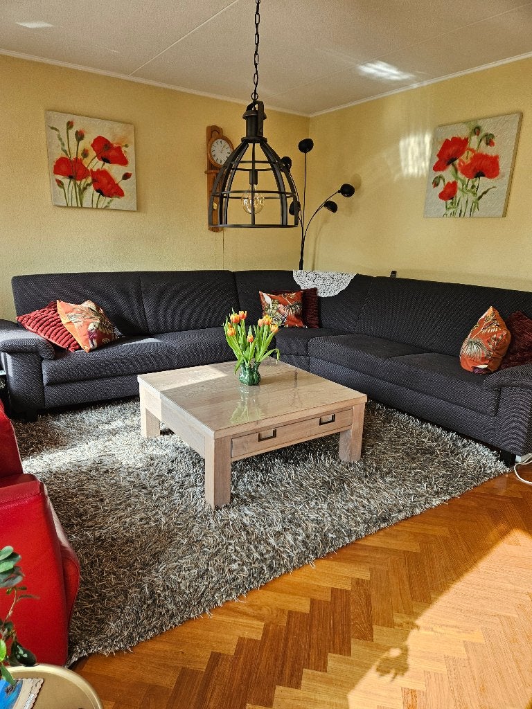 vloerkleed 250 x 200 cm, Huis en Inrichting, Stoffering | Tapijten en Kleden, Ophalen, 200 cm of meer, Zo goed als nieuw, 200 cm of meer