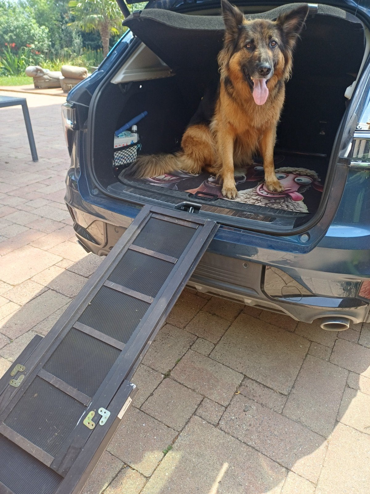 Stevige honden loopplank, Ophalen of Verzenden
