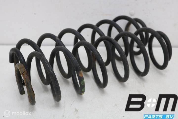 Set achterveren VW Polo 6R 3drs