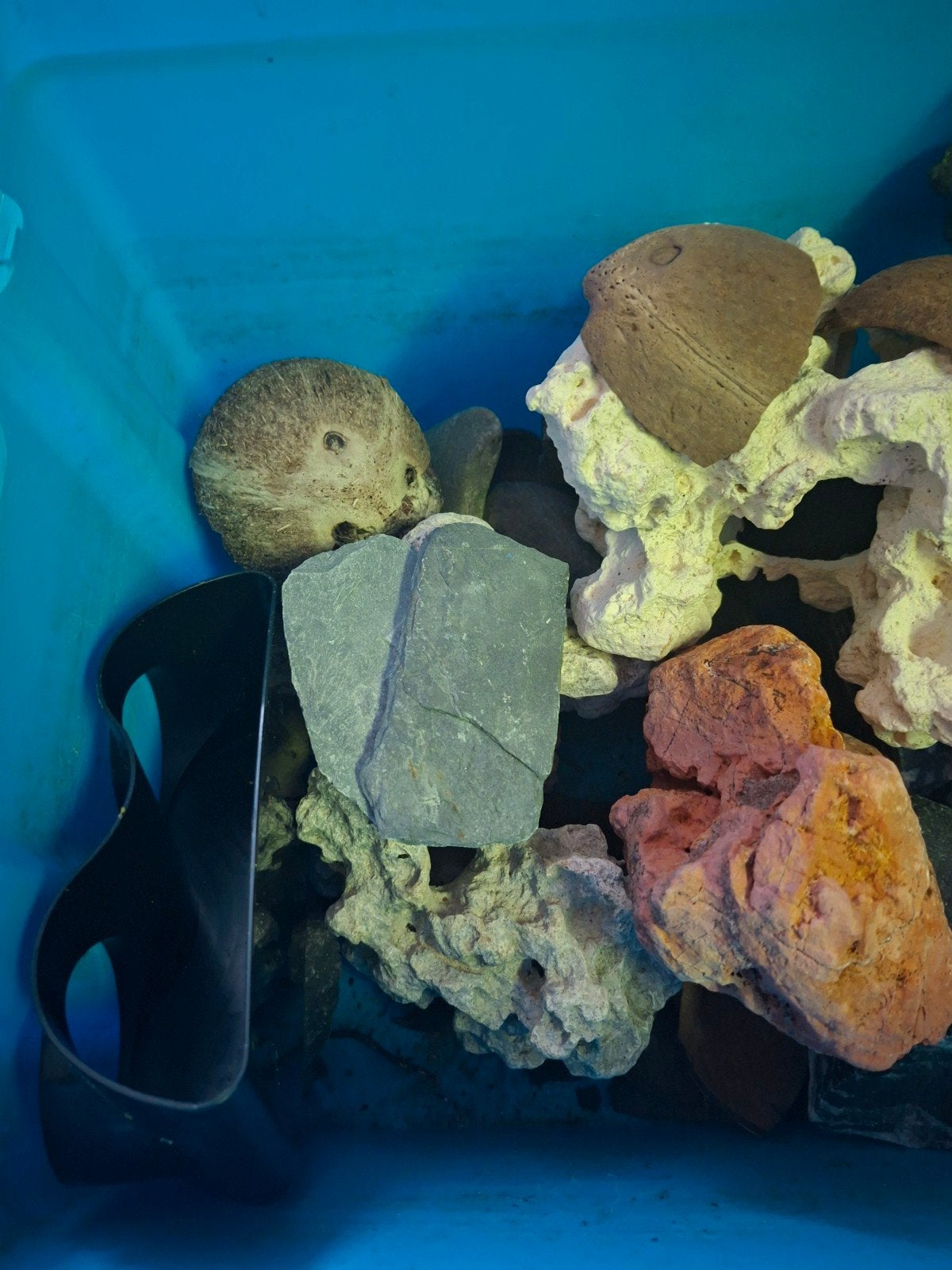 aquarium decoratie, Ophalen, Plant(en), Steen of Hout