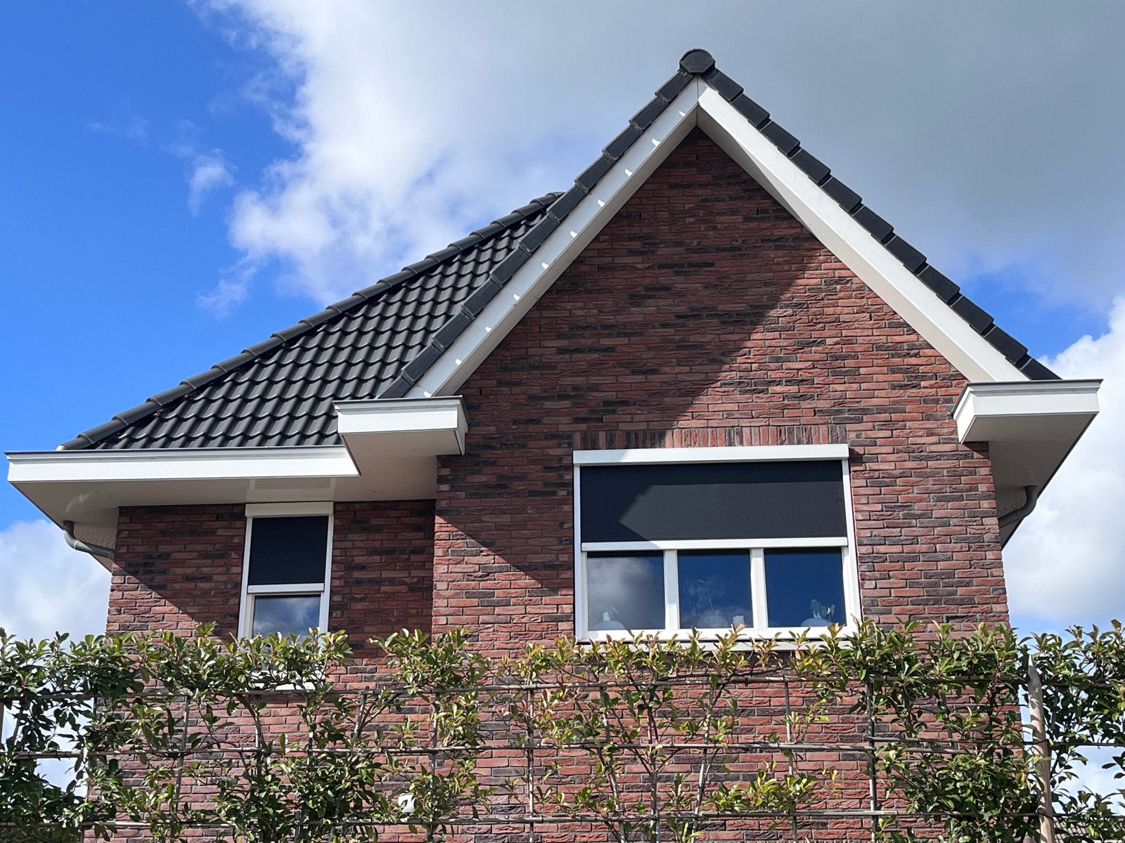 Zipscreens V550 M - Somfy IO, Ophalen, Elektrisch, Minder dan 250 cm, Zo goed als nieuw